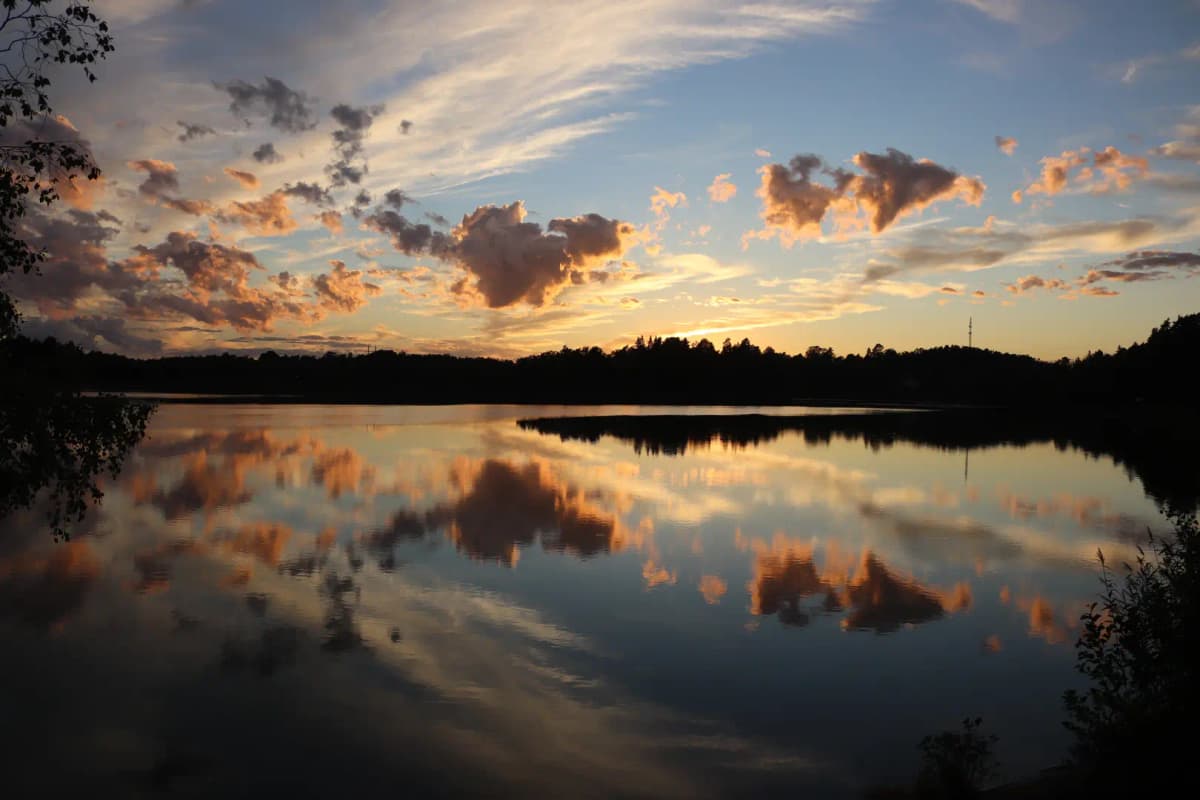 Experter på radonmätning i Sverige