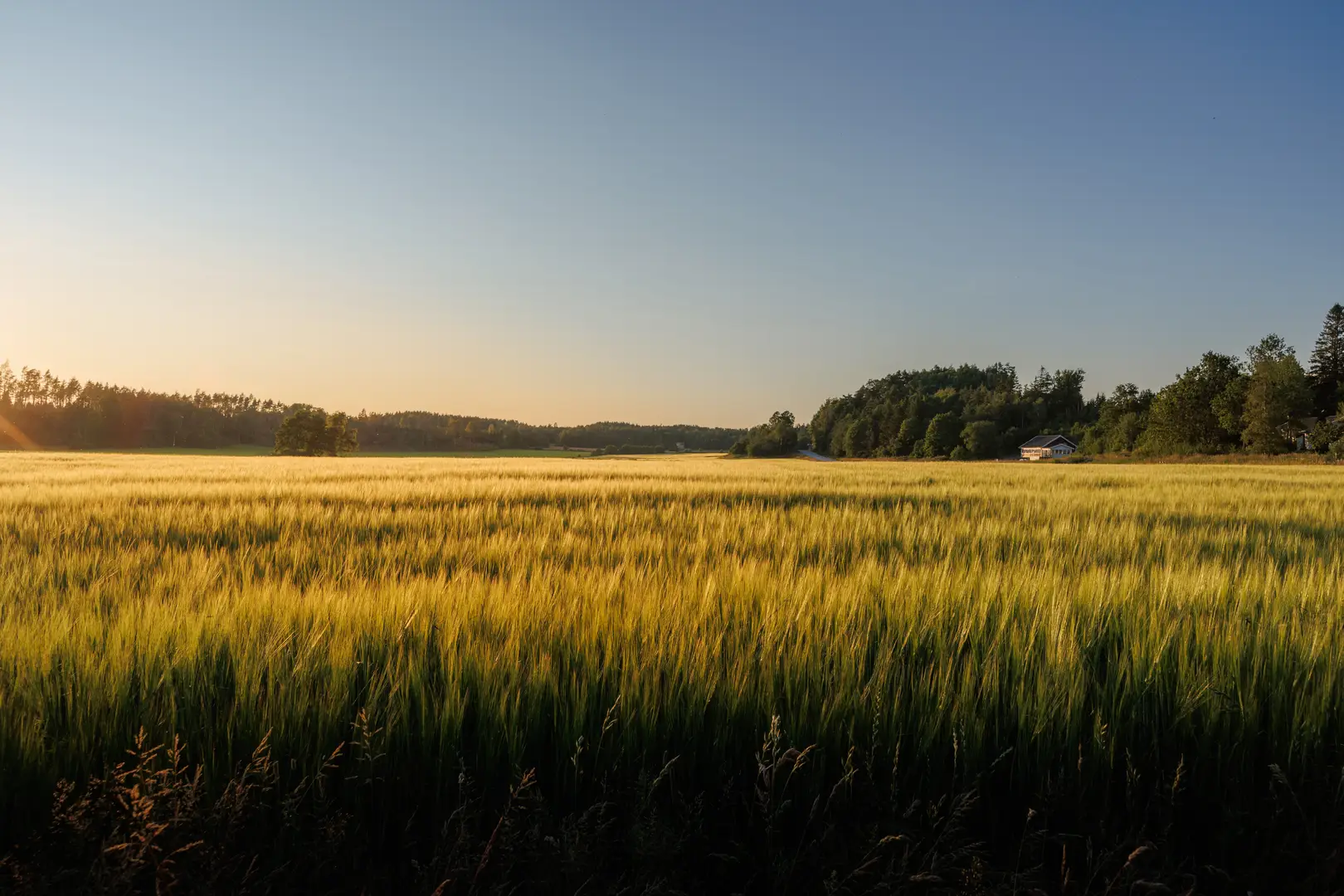 Vi rengör ventilationen i Sverige